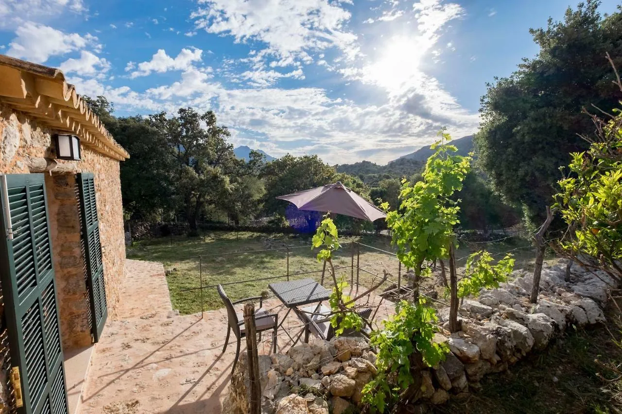 Farm stay Agroturismo Son Alzines Villa Lluc