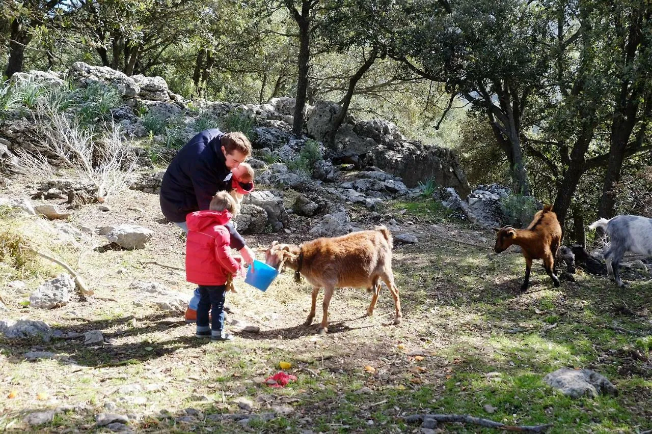 Villa Agroturismo Son Alzines Santuari de Santa Maria de Santuari de Santa Maria de Lluc 0*,  Spanien