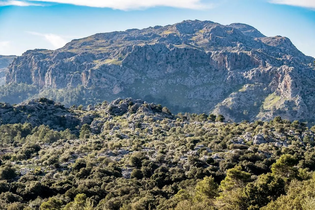 Feriegård Agroturismo Son Alzines Villa Lluc Spanien