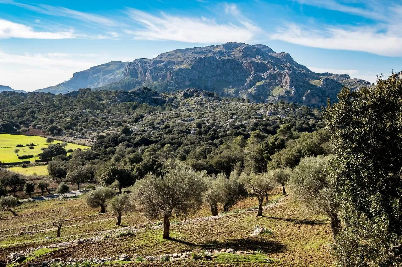 Feriegård Agroturismo Son Alzines Villa Lluc